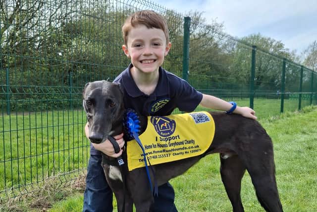 Freddy Vaughan ahead of his 100km challenge for Home Run Hounds. 
