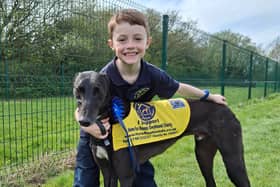 Freddy Vaughan ahead of his 100km challenge for Home Run Hounds. 