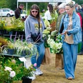 Chasewater Country Park Plant Hunters’ Fairs this Sunday 