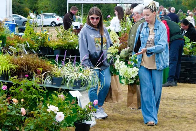 Chasewater Country Park Plant Hunters’ Fairs this Sunday 
