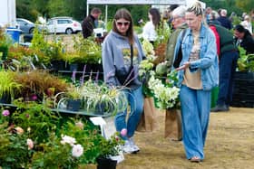 Chasewater Country Park Plant Hunters’ Fairs this Sunday 
