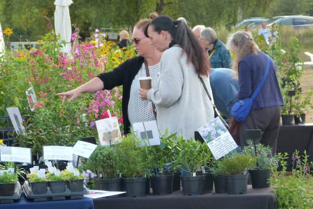 THIS Sunday Chasewater Country Park Summer Plant Hunters Fair