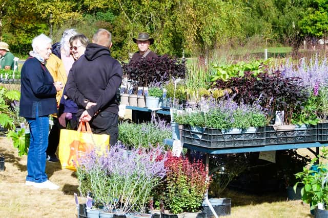 THIS Sunday Chasewater Country Park Summer Plant Hunters Fair 10am-3pm.