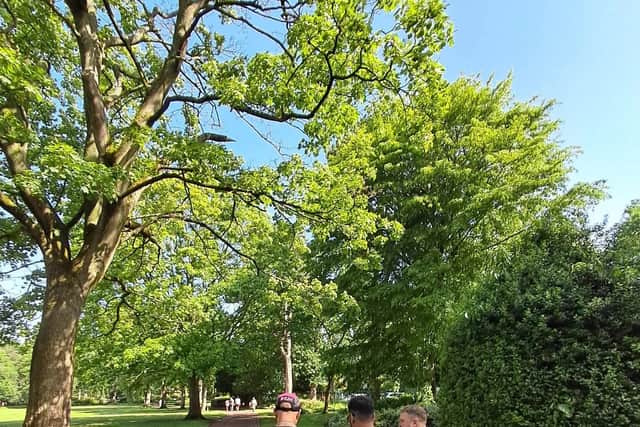 Wellness Running Club: Participants walking and running through West Park (2)