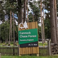 End of an era as Christmas tree sales end at Cannock Chase forest due to 'financial concerns'
