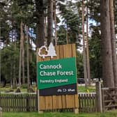 Forestry England has announced the end of Christmas Tree sales at Cannock Chase Forest