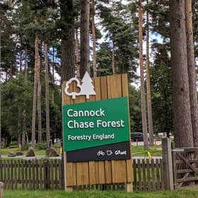 Forestry England has announced the end of Christmas Tree sales at Cannock Chase Forest