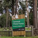 Forestry England has announced the end of Christmas Tree sales at Cannock Chase Forest