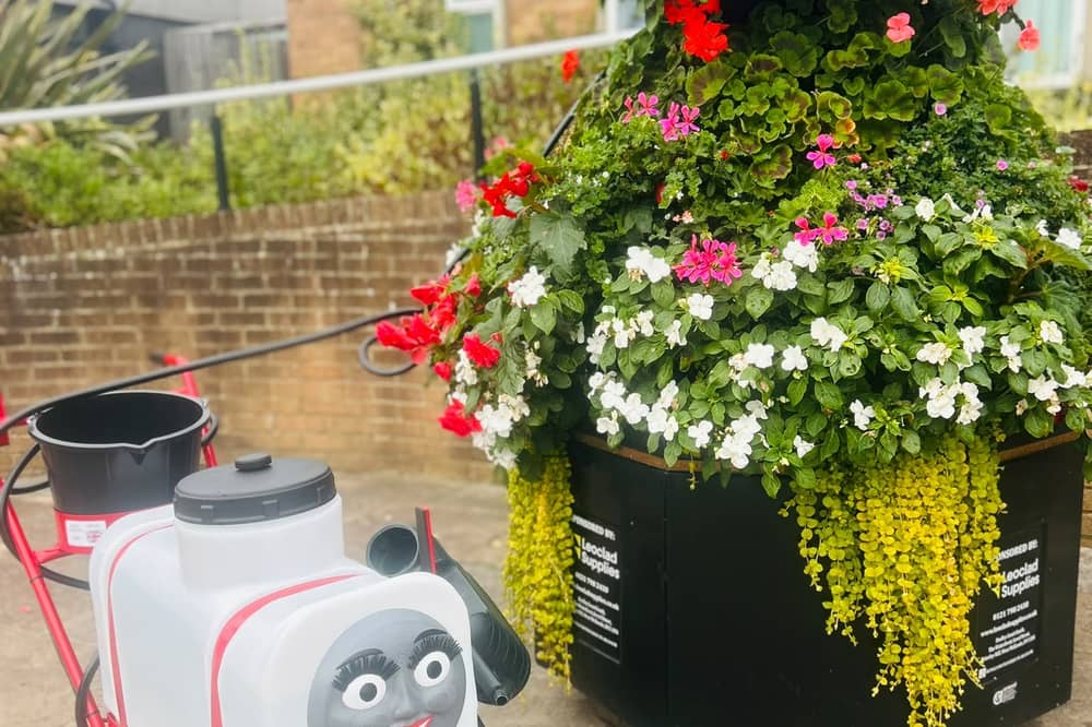 Rosie joins Kingswinford in Bloom