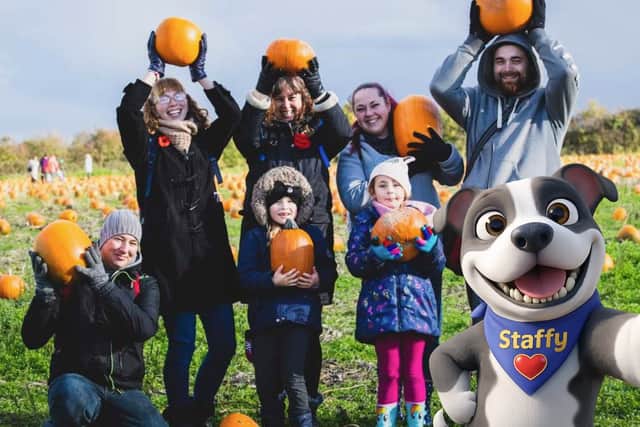 Pumpkin Village at National forest adventure farm