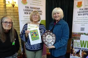 Mavis Ballard, Brocton WI - Craft, Art & Design Shield for artwork in the style of Clarice Cliff
