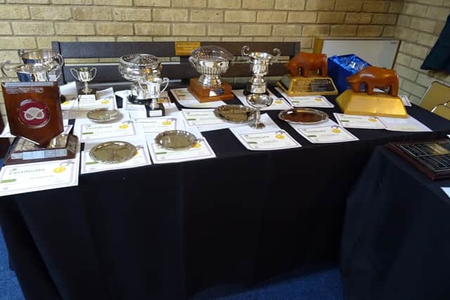 Array of Trophies presented to WI members
