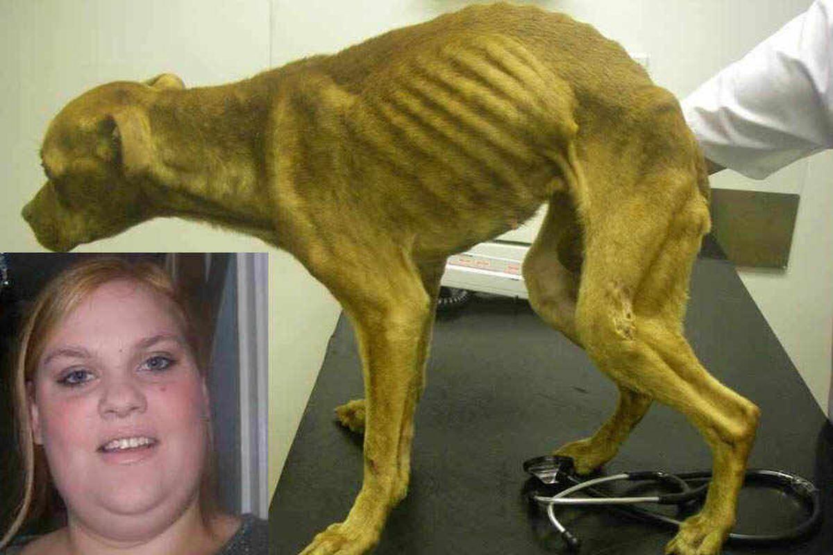 Woman jailed after dogs starved in 'one of worst' cruelty cases seen by court