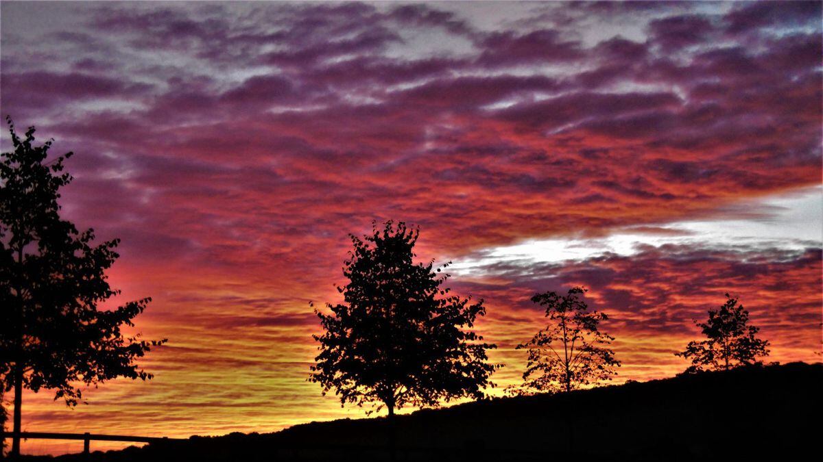 Peter Steggles took this dawn image at Rushbury, Shropshire