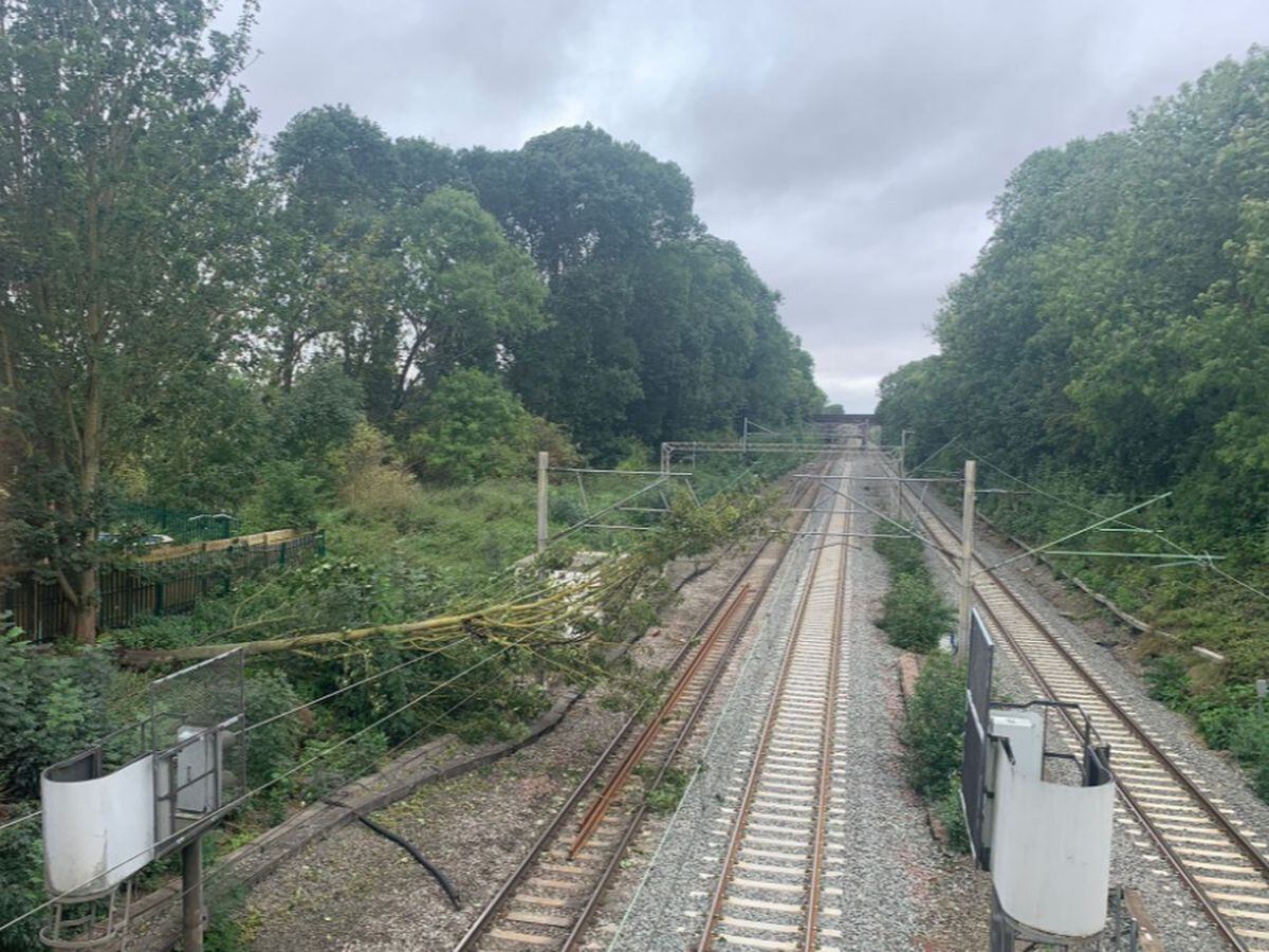 Rail services have been bought to a standstill as the result of a tree on the line. Credit: West Midlands Railway.