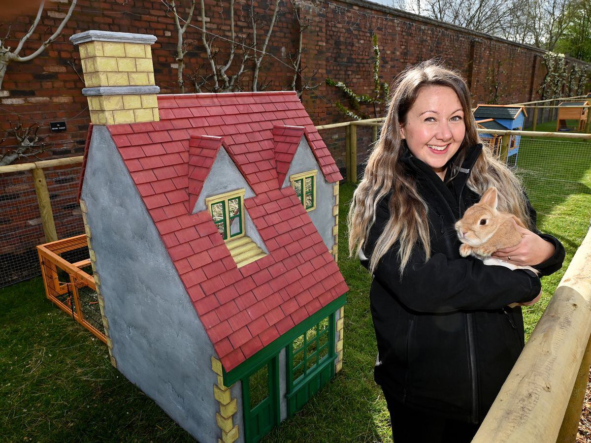 Sarah Payne and Fudge the rabbit at the new rabbit village attraction at Sandwell Valley Park 