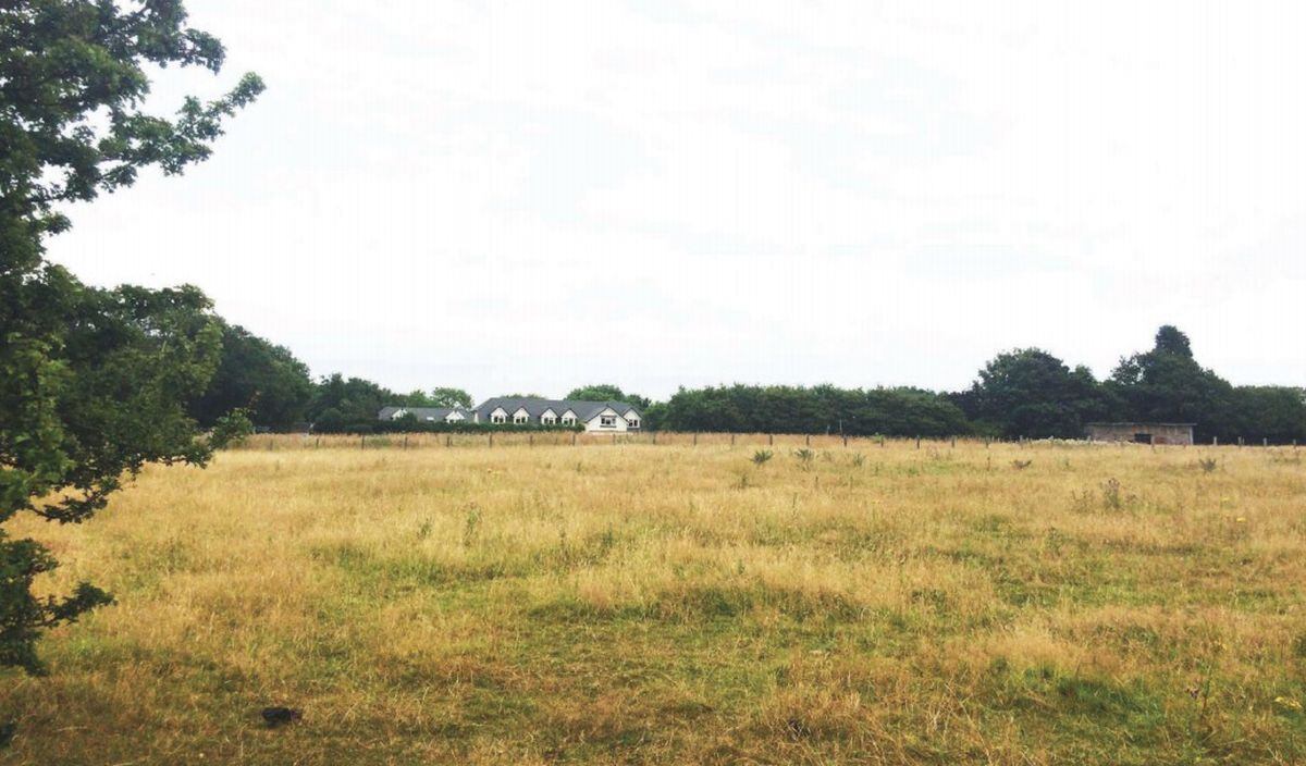 The site. Photo: Taylor Wimpey
