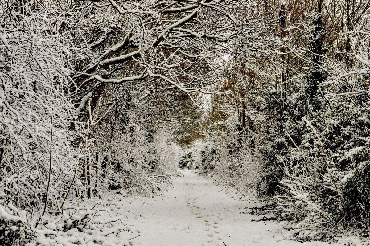 Sally Hill captured this winter wonderland by the old railway line between Kingswinford and Castlecroft