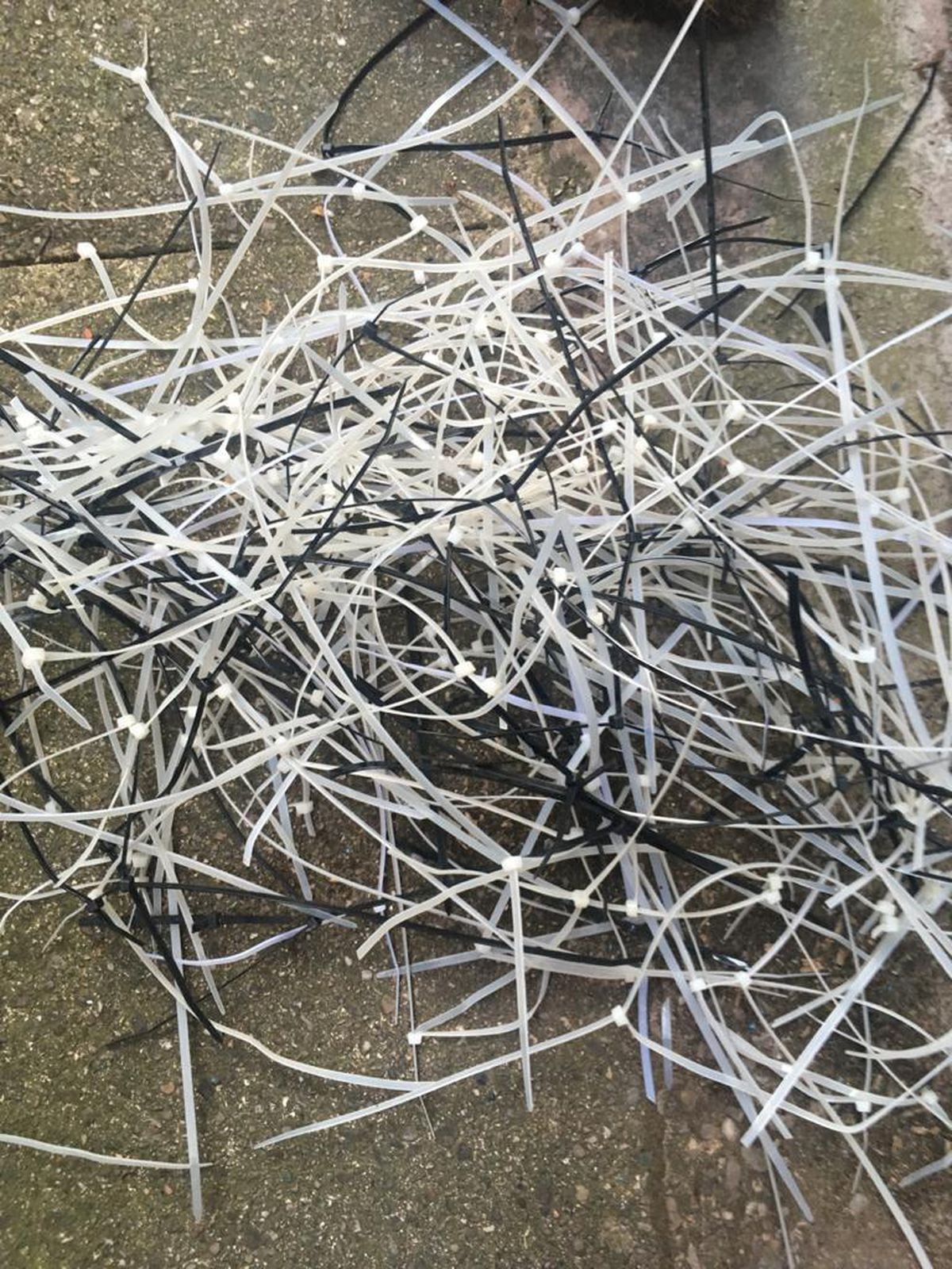 The cable ties which are allegedly use. Photo: Les Trumpeter