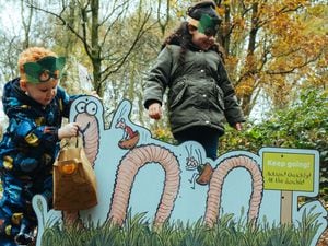 The new Superworm trail at Cannock Chase. Photo: Forestry England