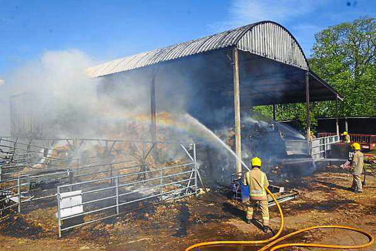 Livestock killed in farmyard fire in Staffordshire