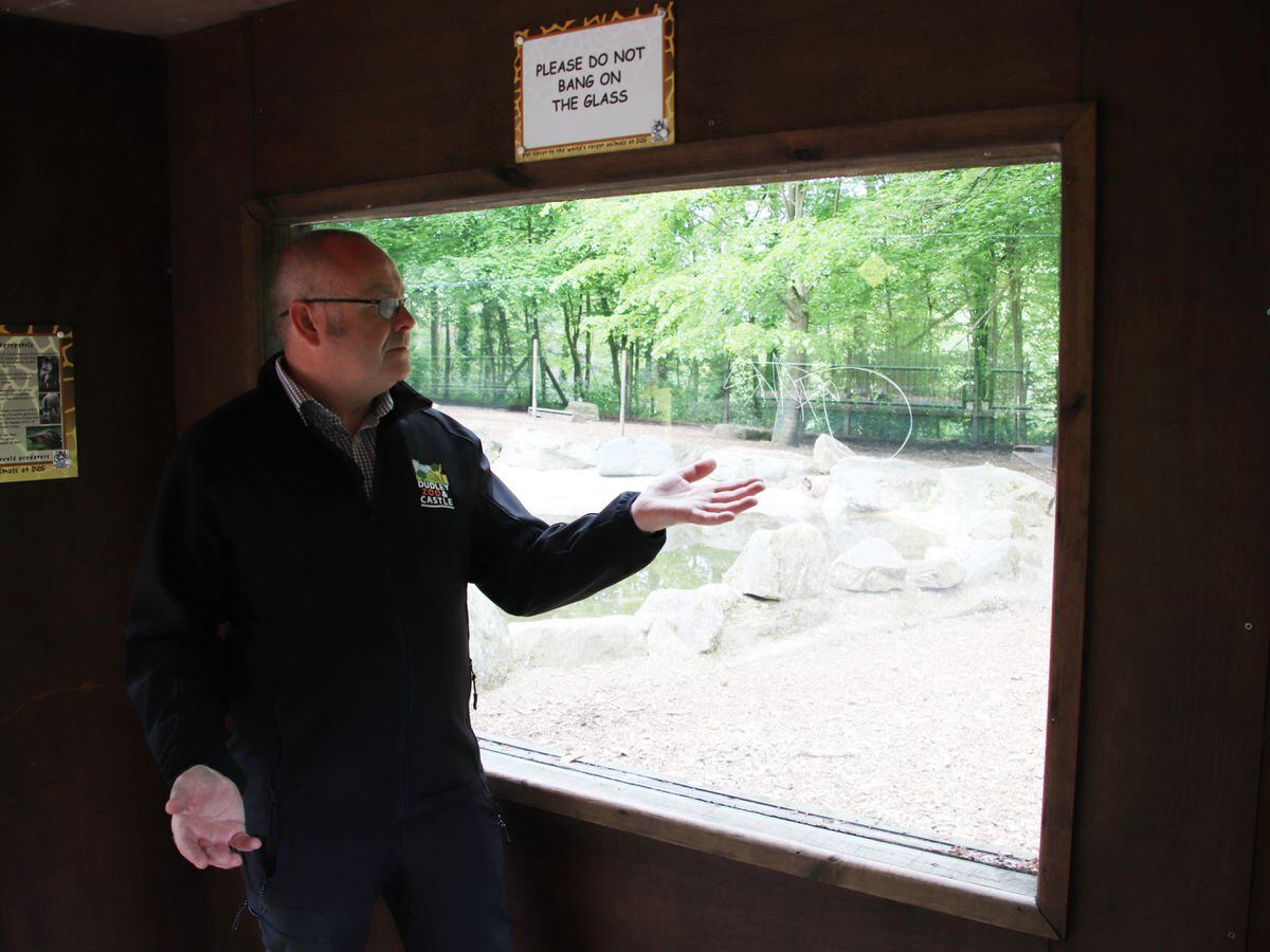 Zoo director Derek Grove with the graffiti tags to one of the enclosures