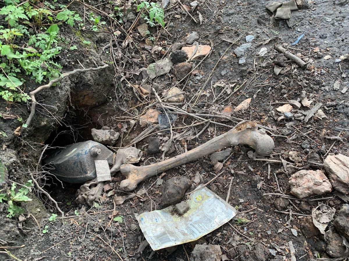 Black Country schoolboys discover human skull and bones in alleyway next to old, abandoned graveyard RBZ3YVBEJBFBPG6SK3O5VYPAGY