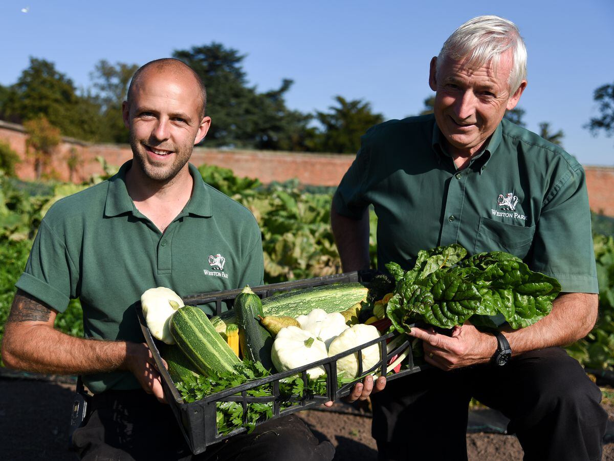 Weston Park is seeking gardening enthusiasts to become volunteers at the estate's historic Walled Garden