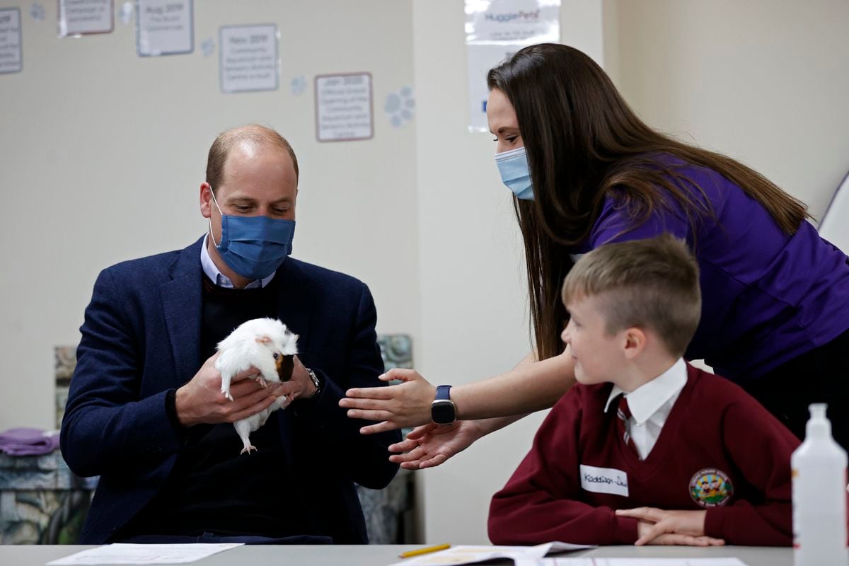 The Duke of Cambridge handles Gus the guinea pig alongside children from Loxdale Primary School 