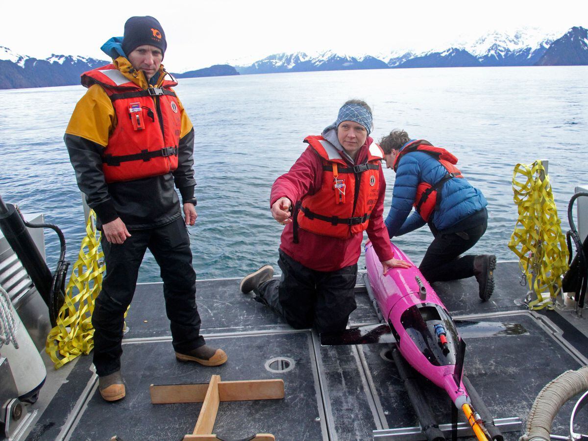 Oceanographers Andrew McDonnell, left, and Claudine Hauri, middle, are pictured with engineer Joran Kemme after an underwater glider is pulled aboard the University of Alaska Fairbanks research vessel Nanuq from the Gulf of Alaska