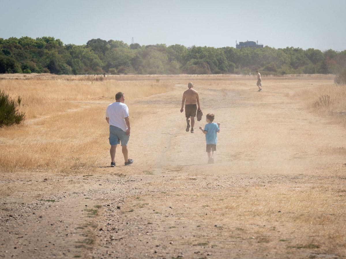 Visitors to Wanstead Flats in north east London