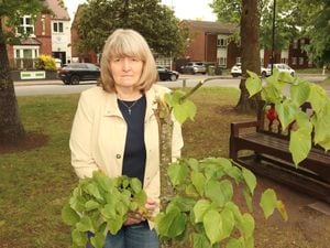 Karen Clifft, a founder of the village's Royal British Legion group, by the damaged tree