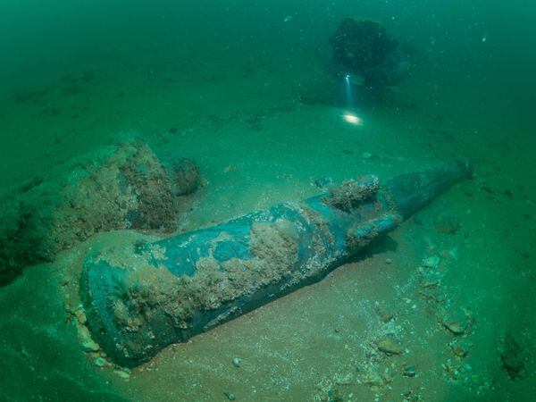 Two guns found at the wreck site
