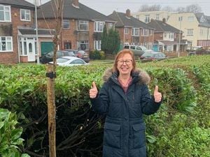 Councillor Barbara McGarrity with the sapling cherry trees along Birmingham New Road. 