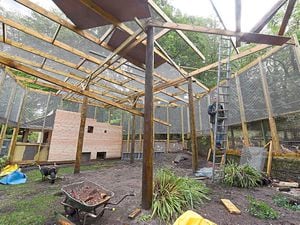 Work continues on the huge new sloth enclosure at Dudley Zoo, which should be open towards the end of October