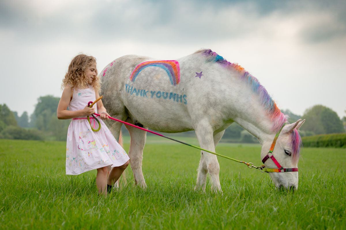 Amber Price, 8, of Bridgnorth, with her New Forest Pony, Bear, who has been painted with a thank you to the NHS using special pony paint. Photo: Peter Lopeman