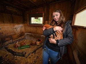 Animal keeper Lydia Parker with the chickens that were dumped at Brockswood Animal Centre. 
