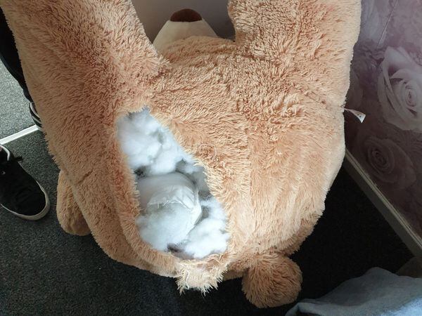 Car thief caught hiding inside giant teddy bear in Rochdale