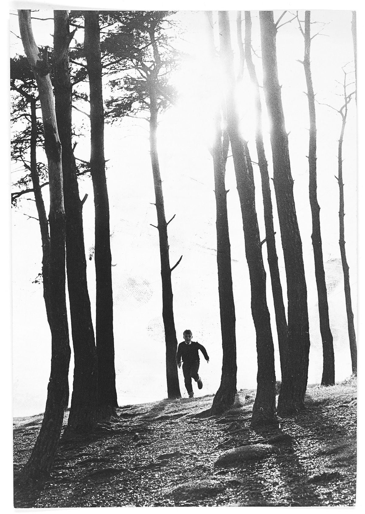 Boy running through trees in the Clent Hills 