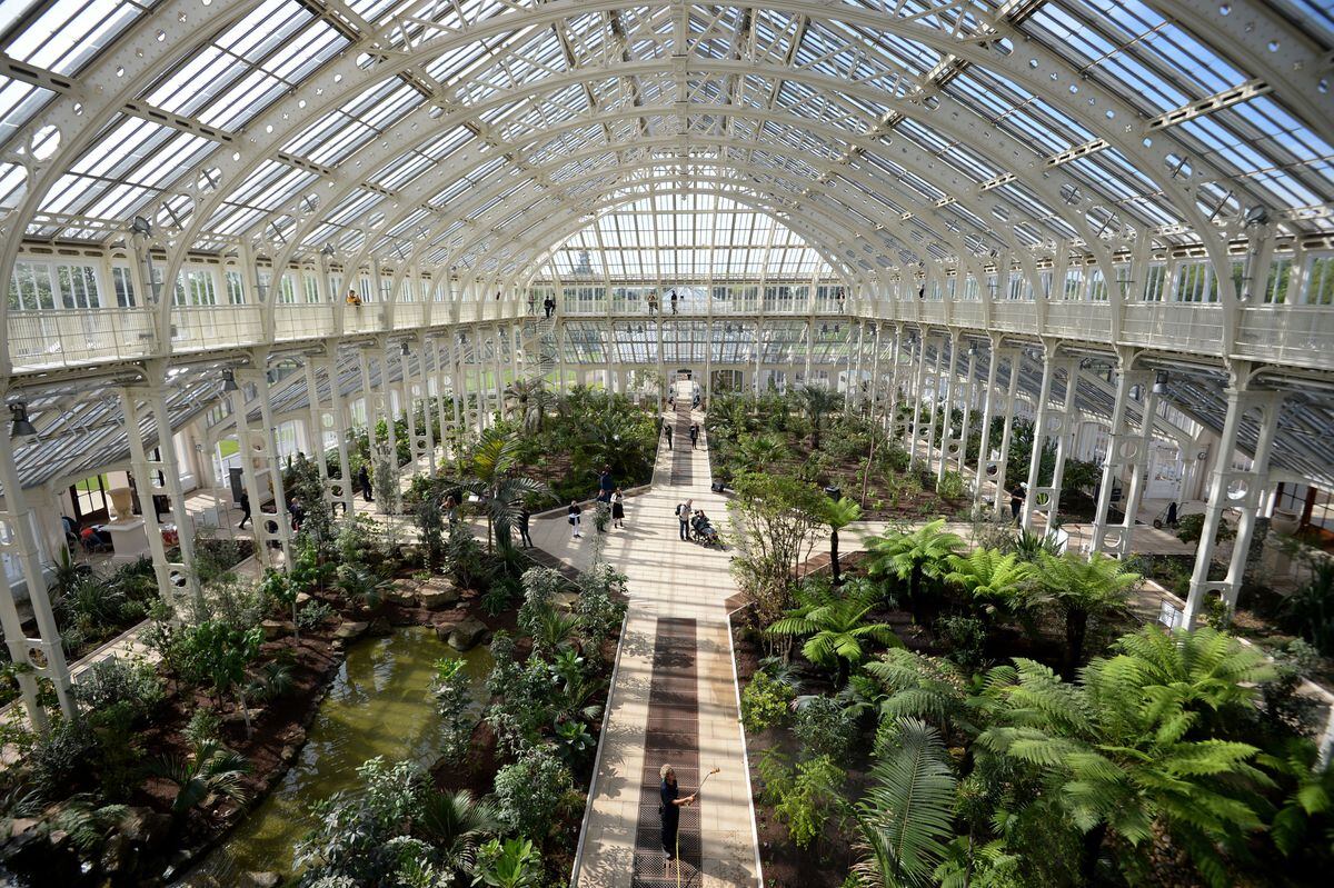 A view of the interior of the Temperate House during the reopening at Kew Gardens in Kew. PRESS ASSOCIATION Photo. Picture date: Thursday May 3, 2018. See PA story HERITAGE Kew. Photo credit should read: Kirsty O'Connor/PA Wire            