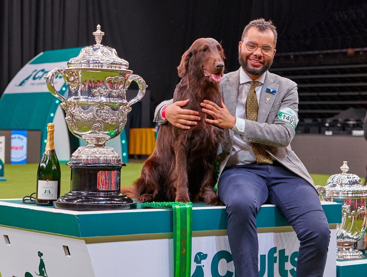 Tickets have gone on sale for the show in 2023, with a chance to see who follows 2022 Best in Show winner Baxer and Patrick Oware. Photo: Flick.digital