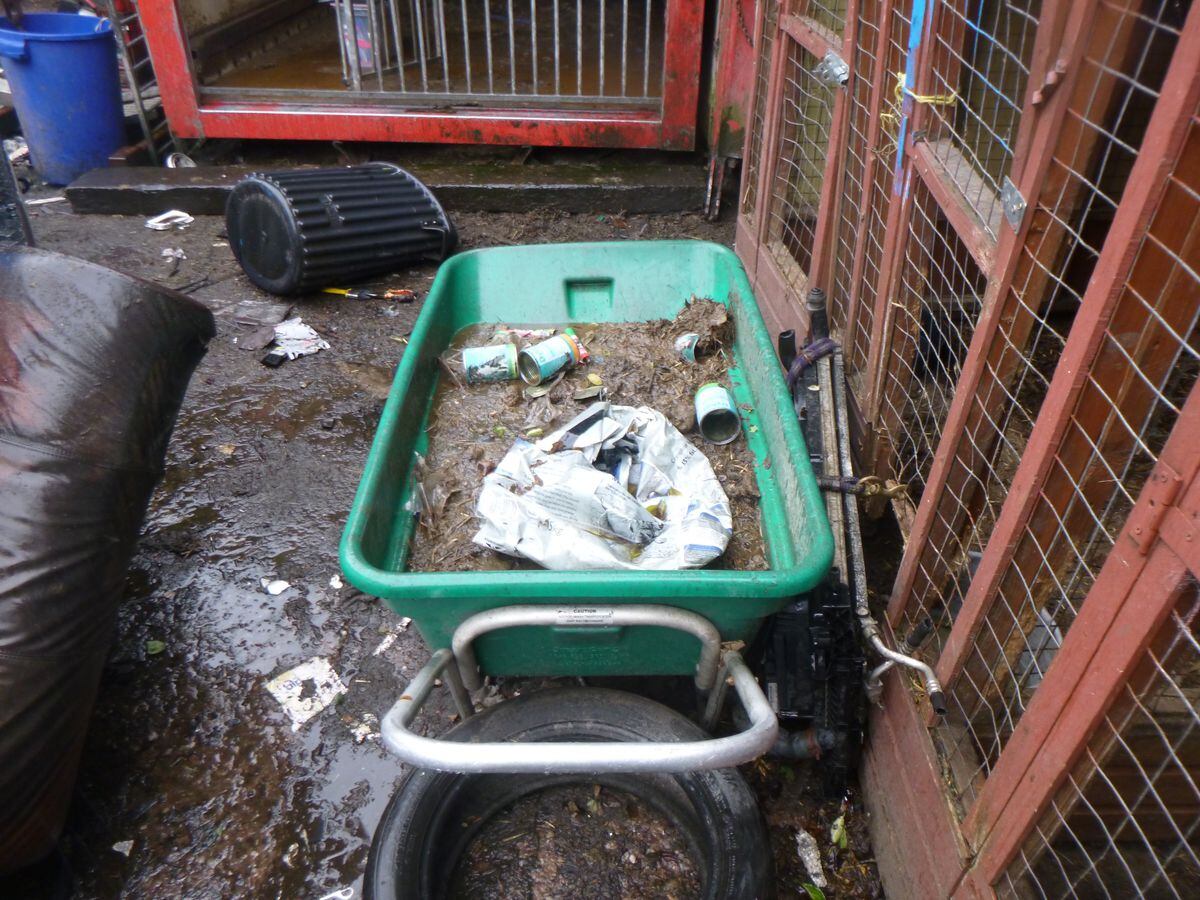 The animals lived in squalid conditions. Photo: RSPCA