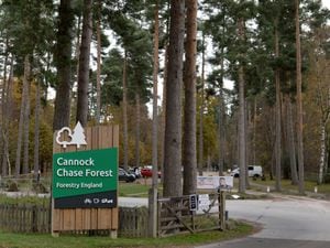 CANNOCK  COPYRIGHT TIM STURGESS EXPRESS AND STAR...... 18/11/2020. CA: GVs of Cannock Chase and  car parks and lay-bys as we do loads of stories about the plans to overhaul parking on the Chase which is controversial etc. Pictured, Birches Valley..