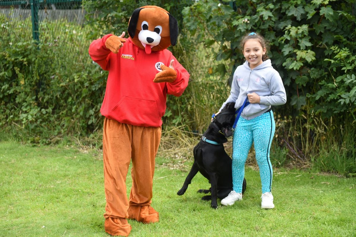 Winners of Halesowen dog show at Highfield Park, Halesowen (Image: SnapperSK)