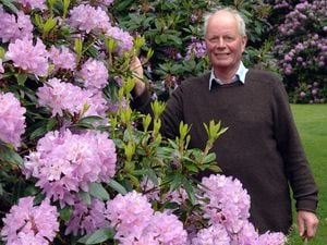 John Phillips pictured preparing to open his gardens at the Wodehouse in 2005