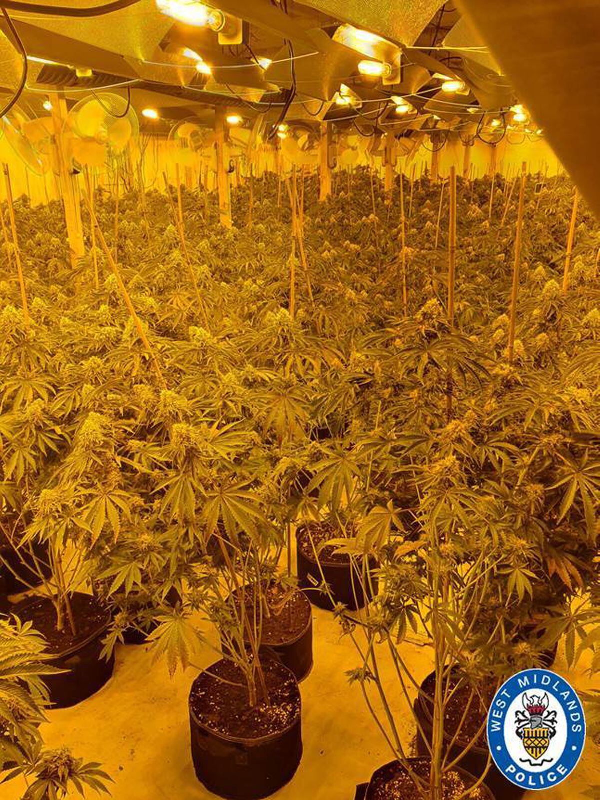 The cannabis factory, worth up to £1.5 million, was found at an industrial unit in Sutton Coldfield