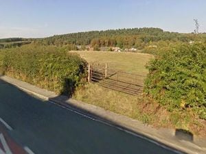 The field north of Rawnsley Road, Cannock, earmarked for an affordable housing development. Photo: Google