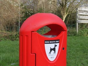 A dog foul bin in Thimblemill Brook, in Sandwell