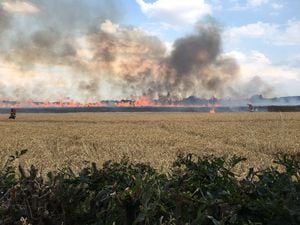 Firefighters fight crop blaze