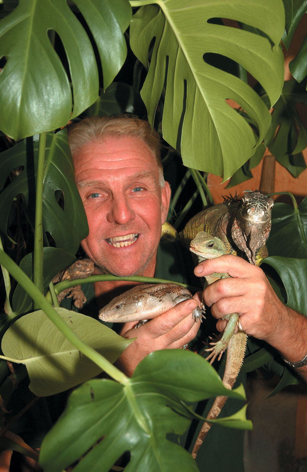 Reptile keeper, Graham Chilton, surrounded by donated Swiss cheese plants